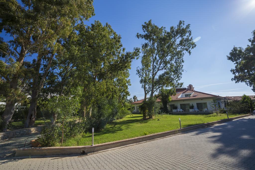 Palm Bay Beach Hotel Emecik Extérieur photo